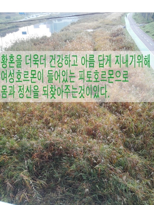 2015-07-02 14;16;50.jpg