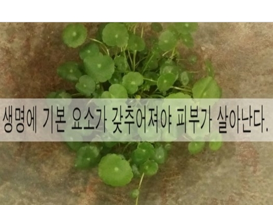 2015-07-06 14;12;58.jpg