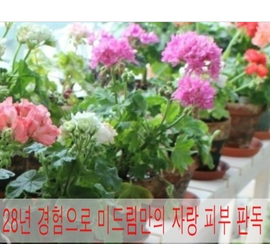 2015-07-06 14;12;40.jpg