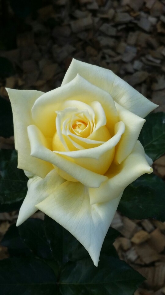 2015-08-26 10;24;10.jpg