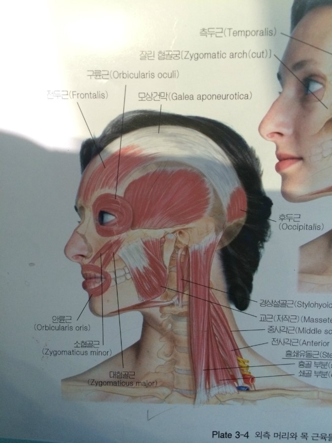 2015-08-31 12;54;51.jpg