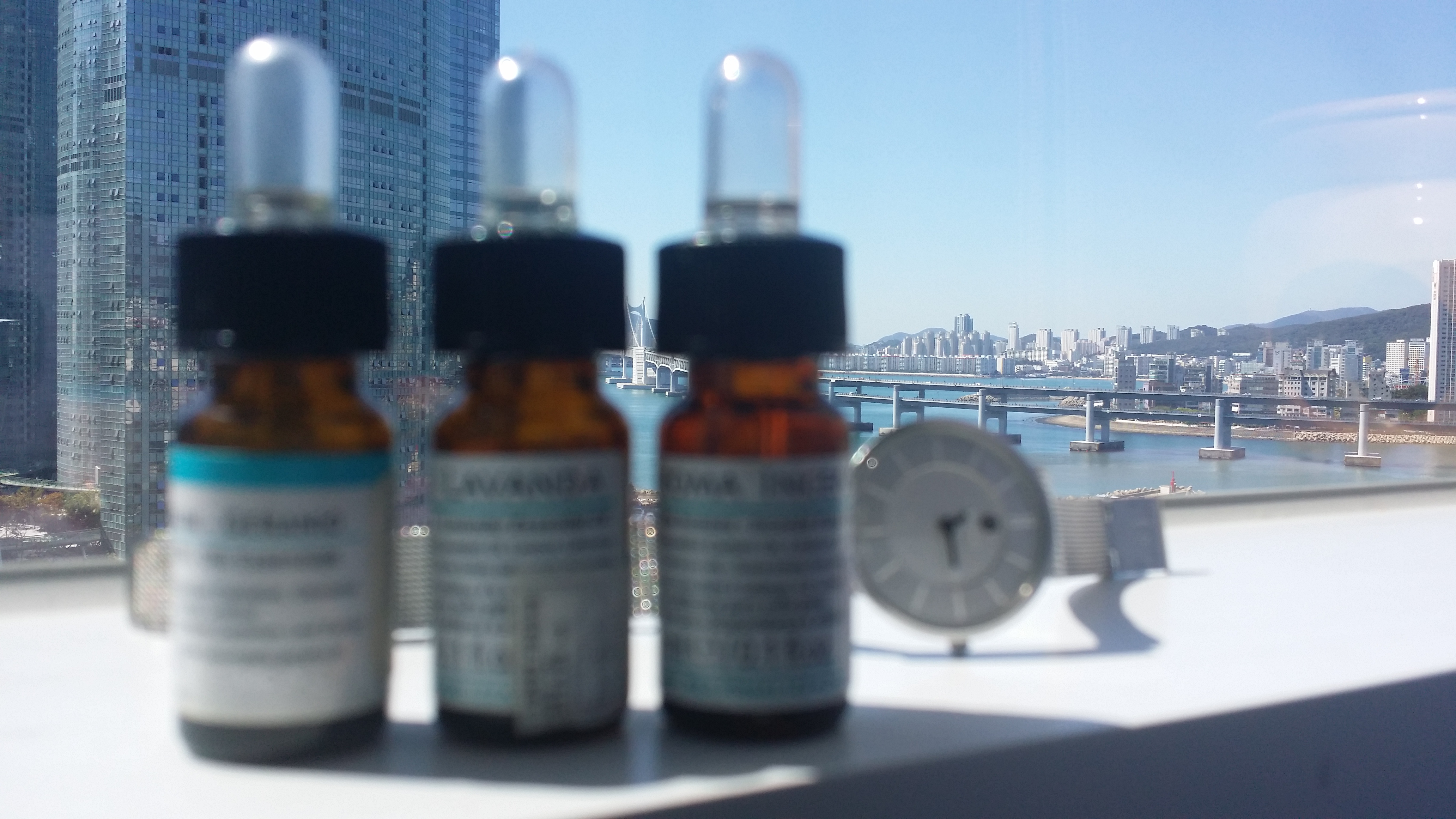 20150913_111444.jpg