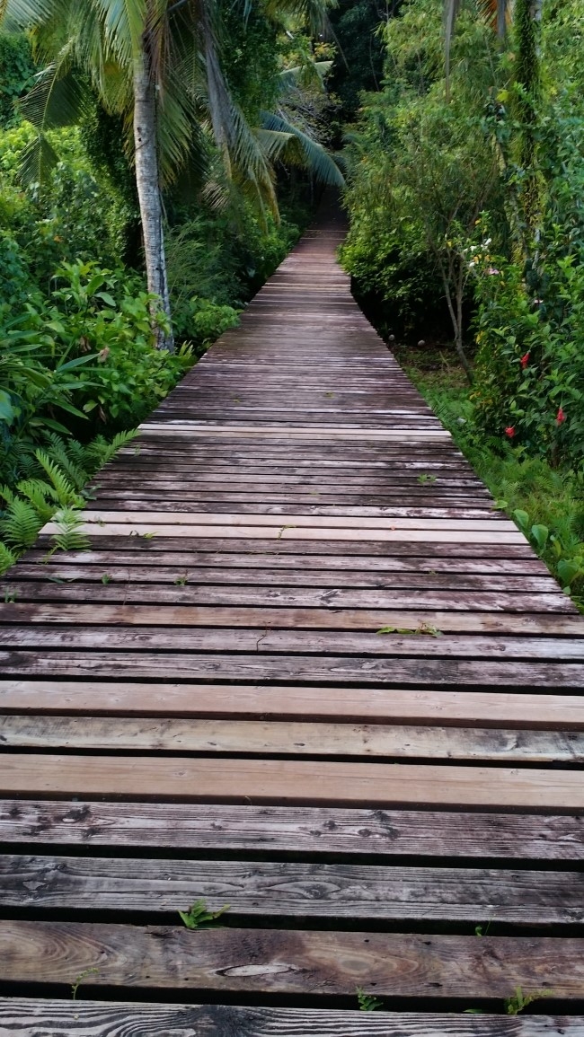 2015-09-02 15;36;45.jpg