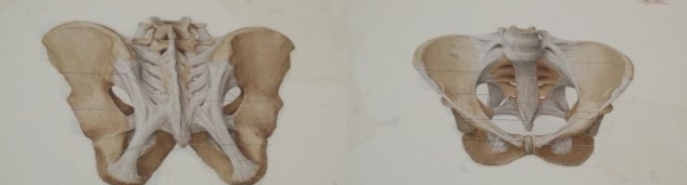 2015-09-08 10;48;24.jpg