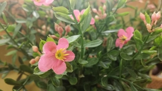 2015-09-10 13;56;23.jpg