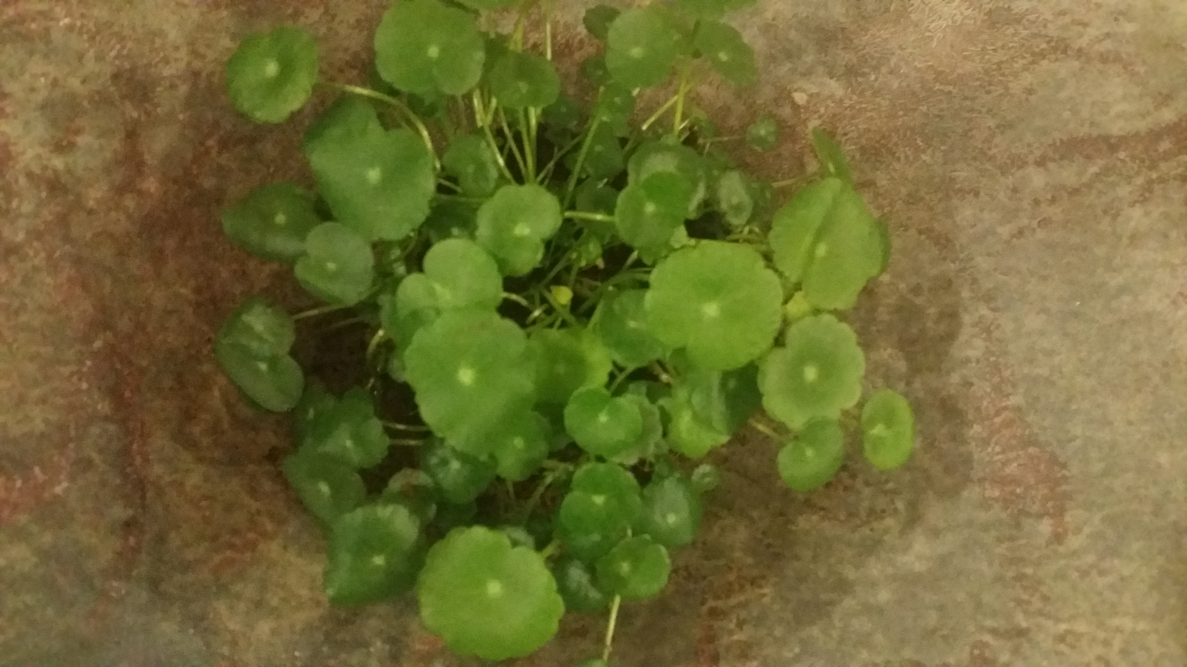 20150420_195728.jpg