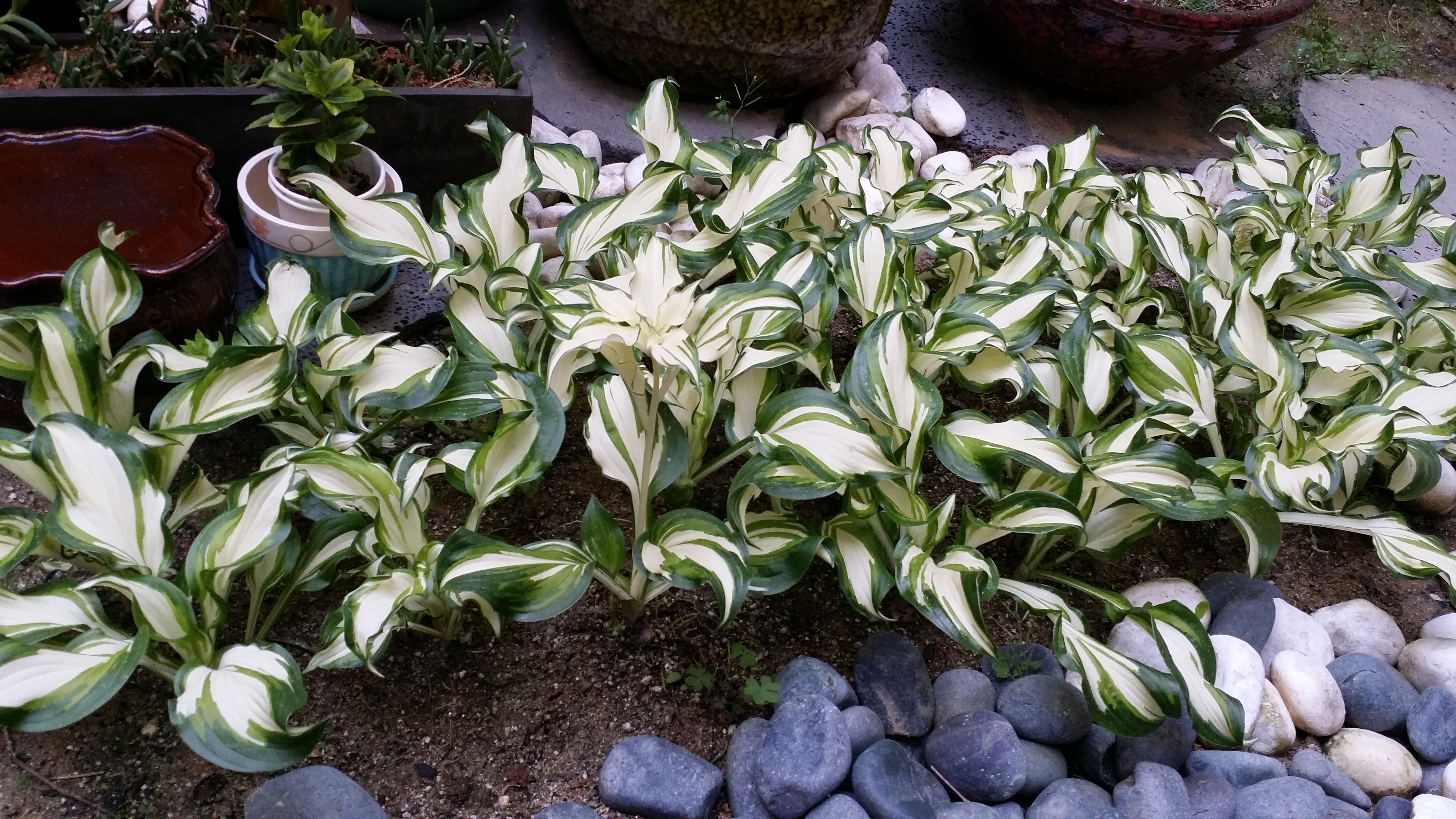 20140430_182452.jpg