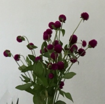 2015-10-01 21;37;40.jpg