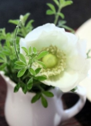 2015-10-03 00;11;36.jpg