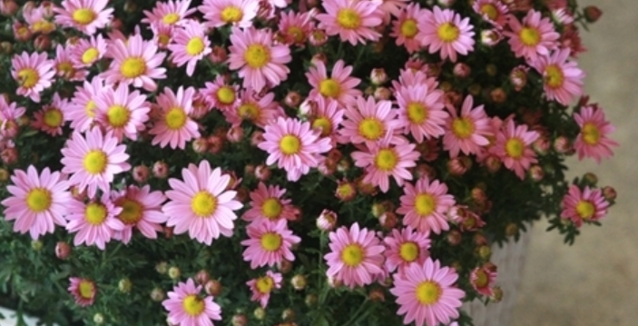 2015-10-03 00;04;46.jpg