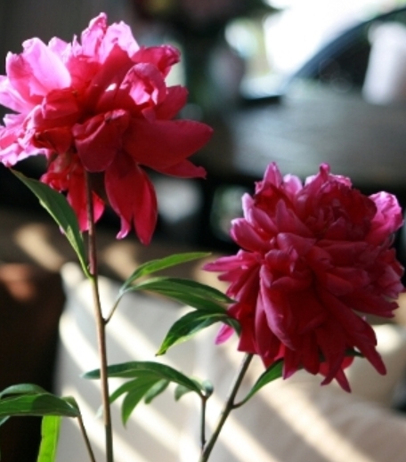 2015-10-03 00;13;49.jpg