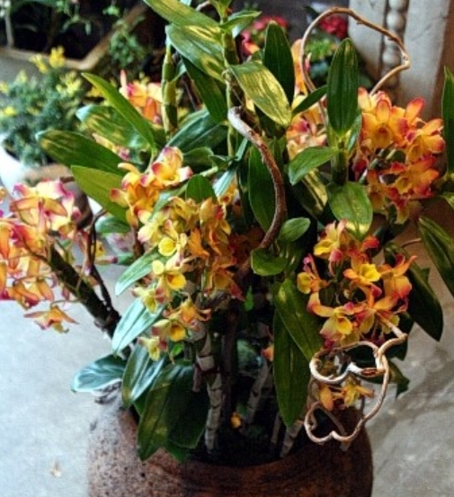 2015-10-02 23;41;55.jpg