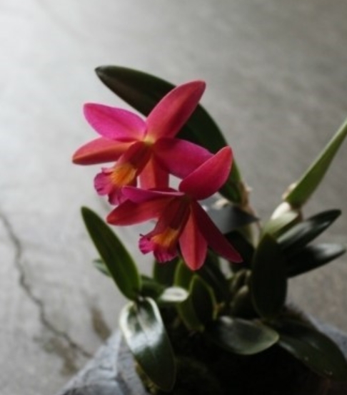 2015-10-02 23;51;39.jpg