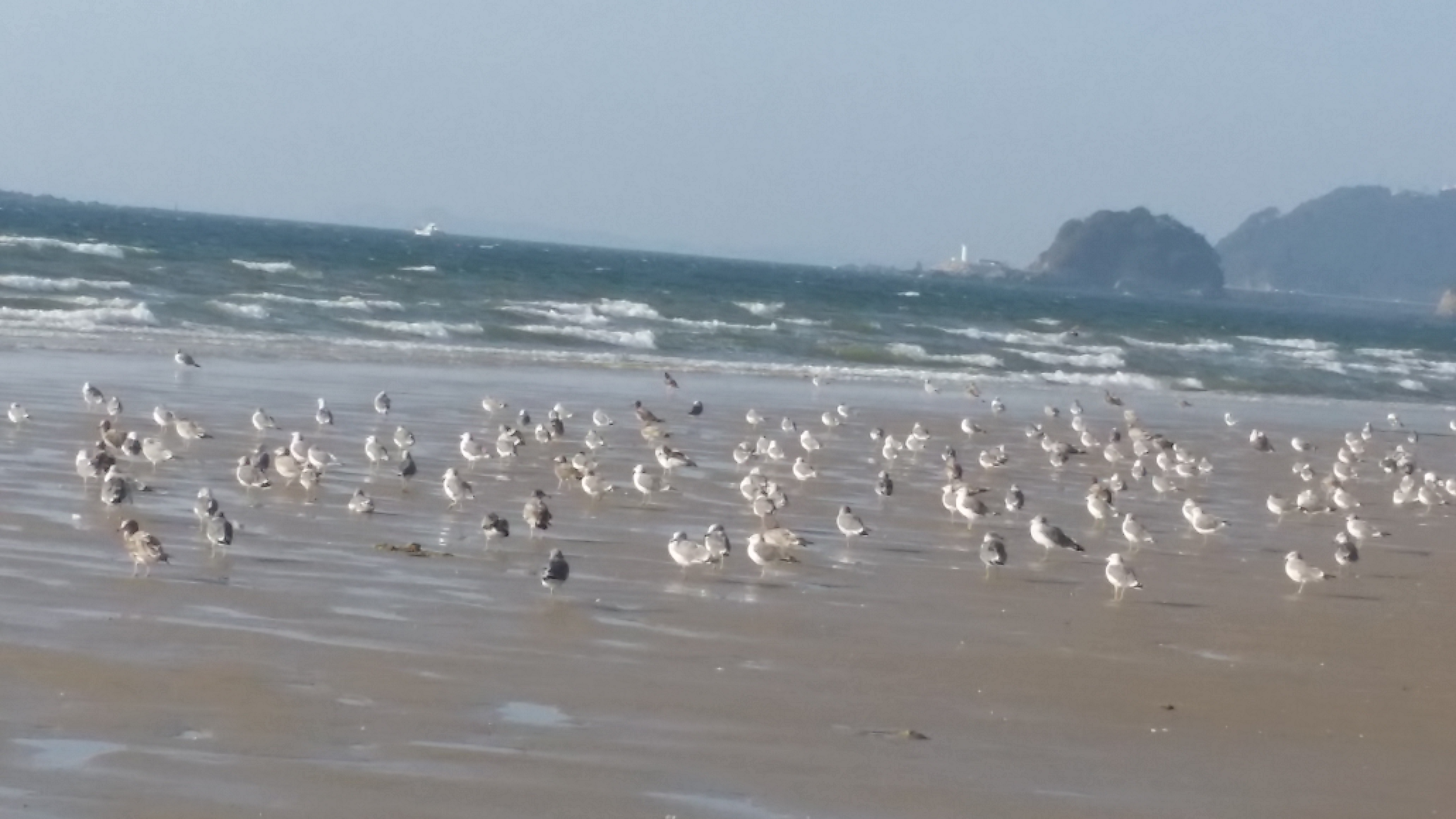 20150926_163554.jpg