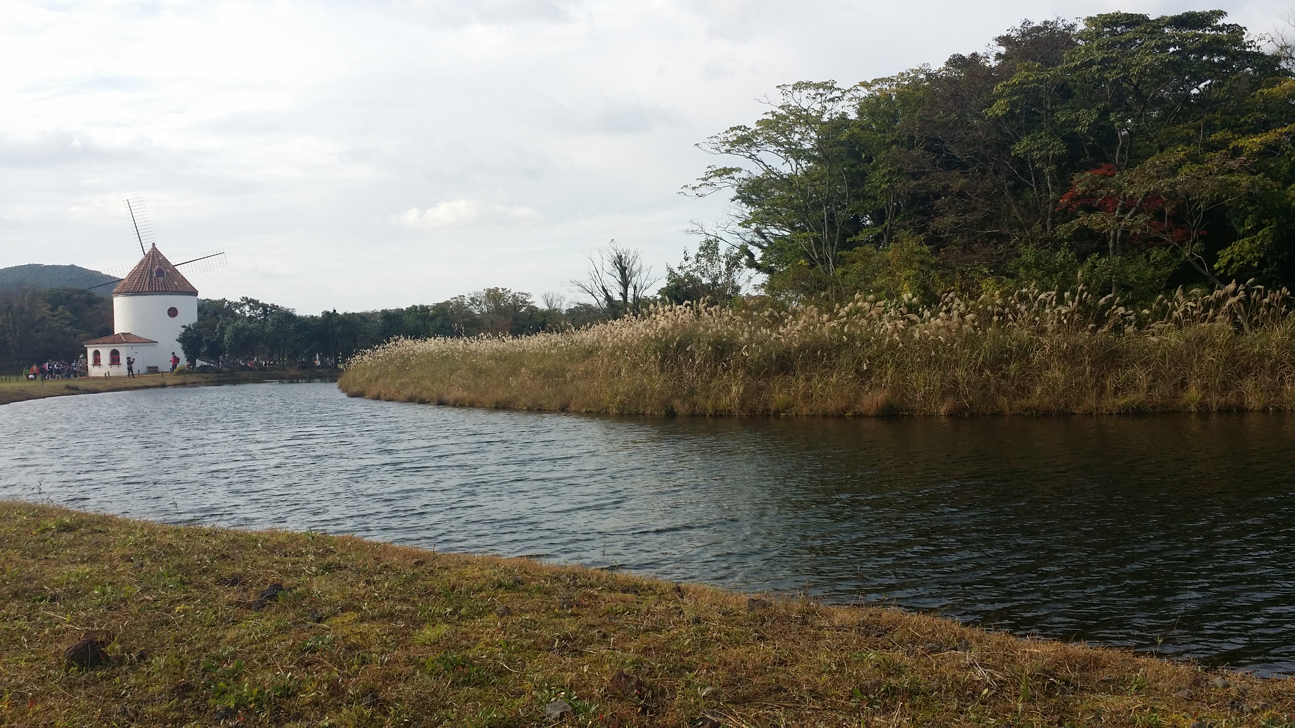 20151028_152501.jpg