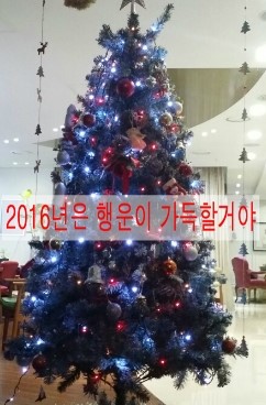 2016년.jpg