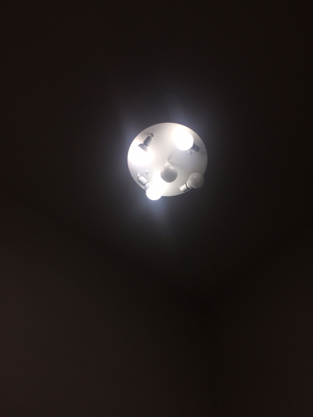 KakaoTalk_20160111_123813518.jpg