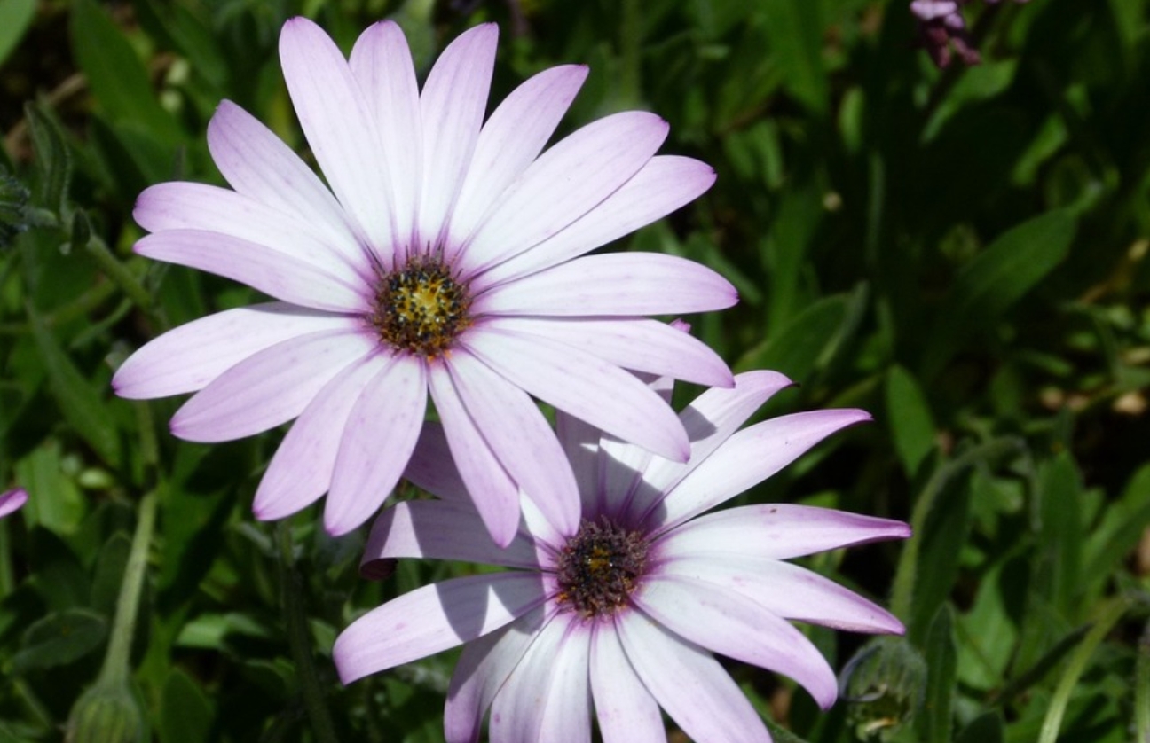 2015-12-21 00;31;13.jpg