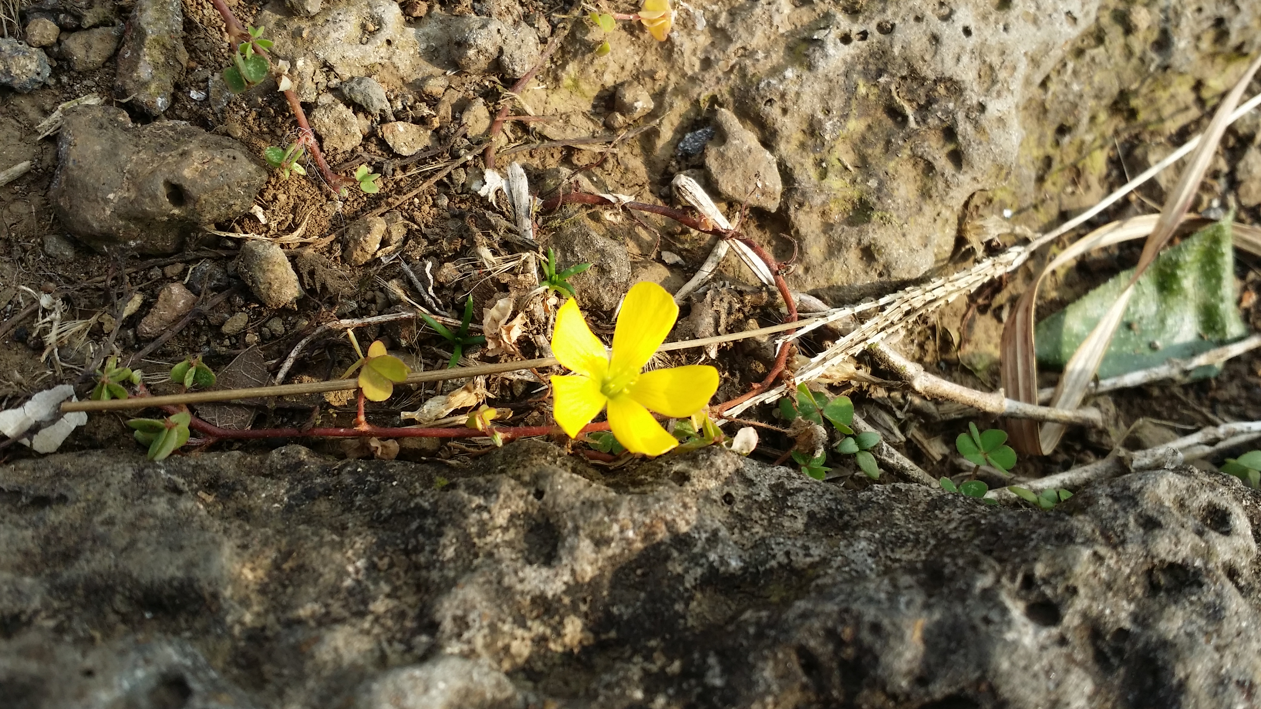 20160104_125119.jpg