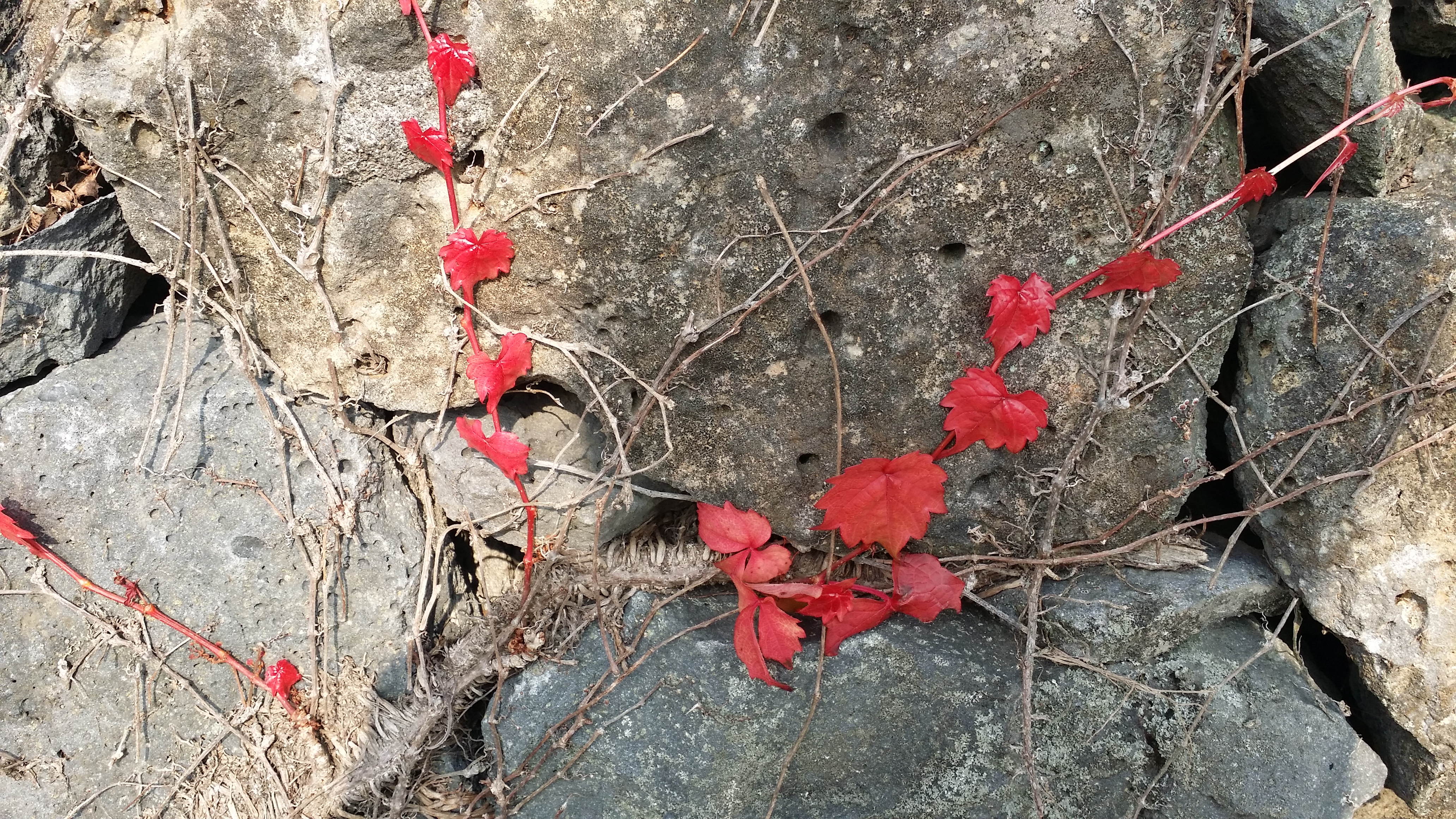 20160104_133149.jpg
