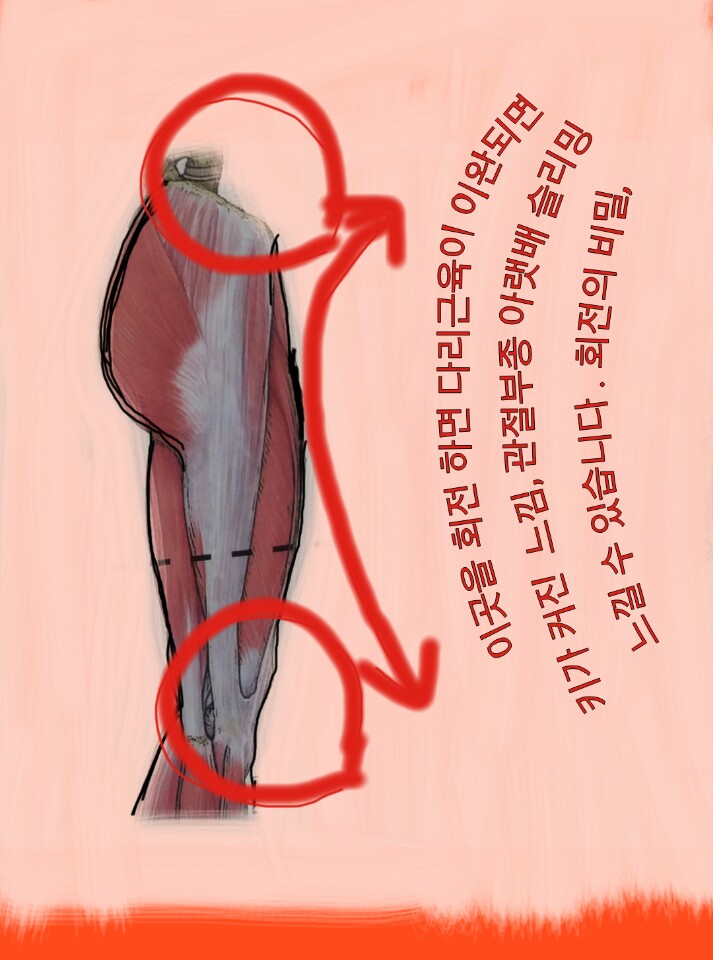 KakaoTalk_20170131_182610259.jpg